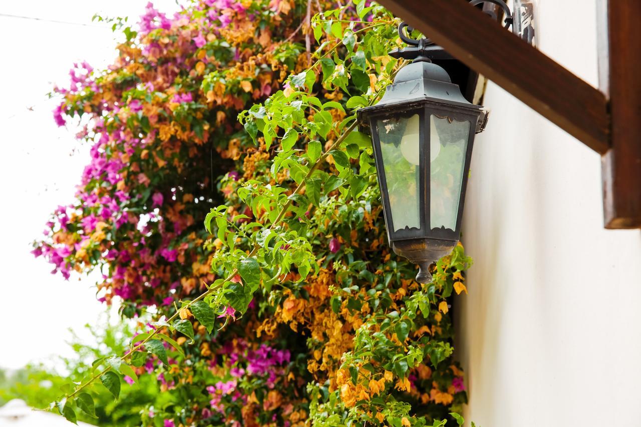 باري Bed & Breakfast Santa Fara المظهر الخارجي الصورة